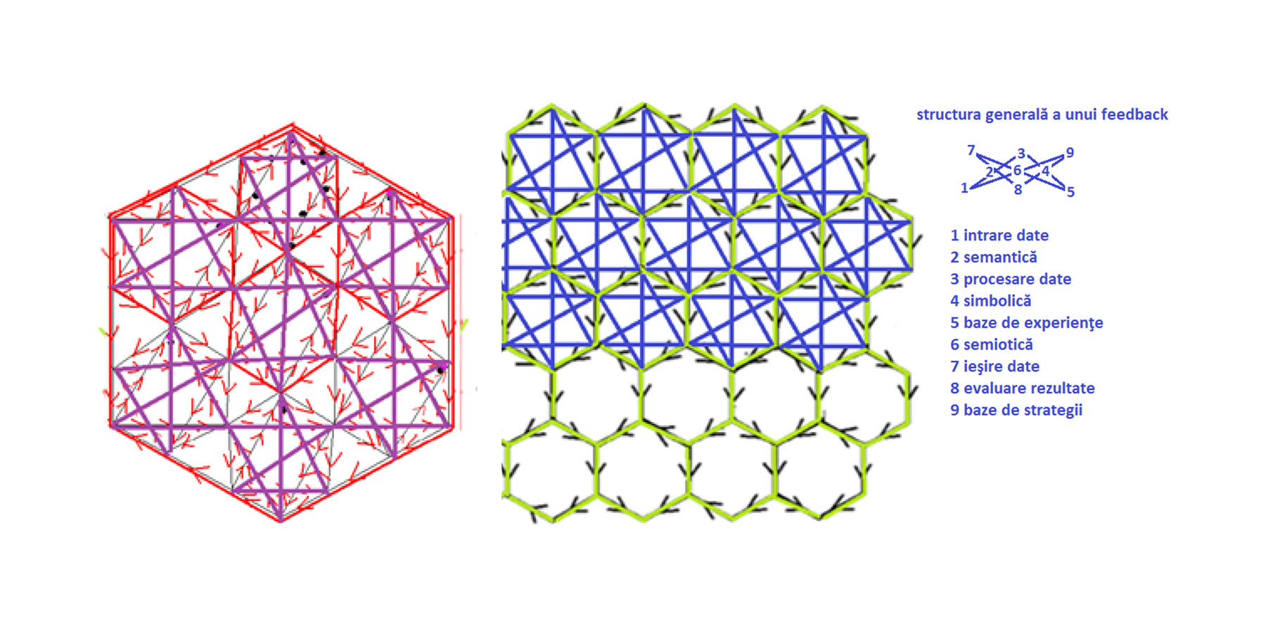 reţelele de feedback comune structurilor hexagonale sustenabile cu laturi comune (verde) sau vârfuri comune (roşu)