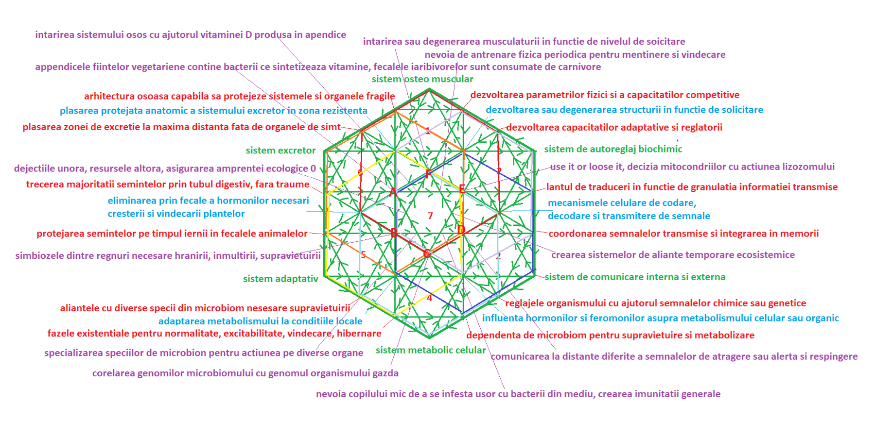 Hexagonul verde
