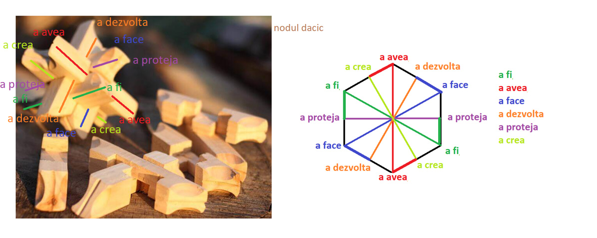 Modelul de lideri și programe